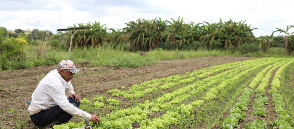 Ocupa uma área rural no Distrito Federal? Saiba como solicitar a regularização fundiária