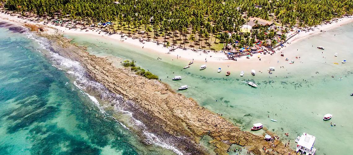 Barulho de barco e de turistas afeta comunicação de peixes, diz estudo 