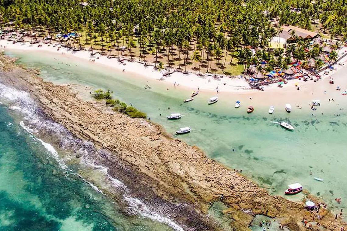 Barulho de barco e de turistas afeta comunicação de peixes, diz estudo 
