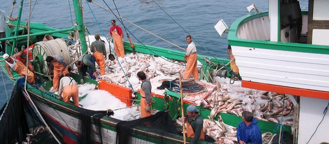Conheça os pescados brasileiros que escaparam do tarifaço de Donald Trump