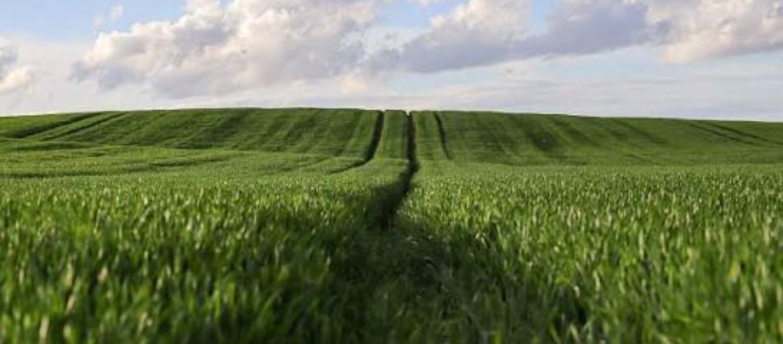 Conselho  Monetário Nacional regulamenta linha de R$ 10 bilhões para aquisição de máquinas agrícolas