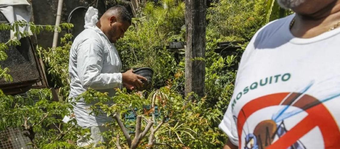 El Niño pode aumentar casos de chikungunya e dengue no Brasil