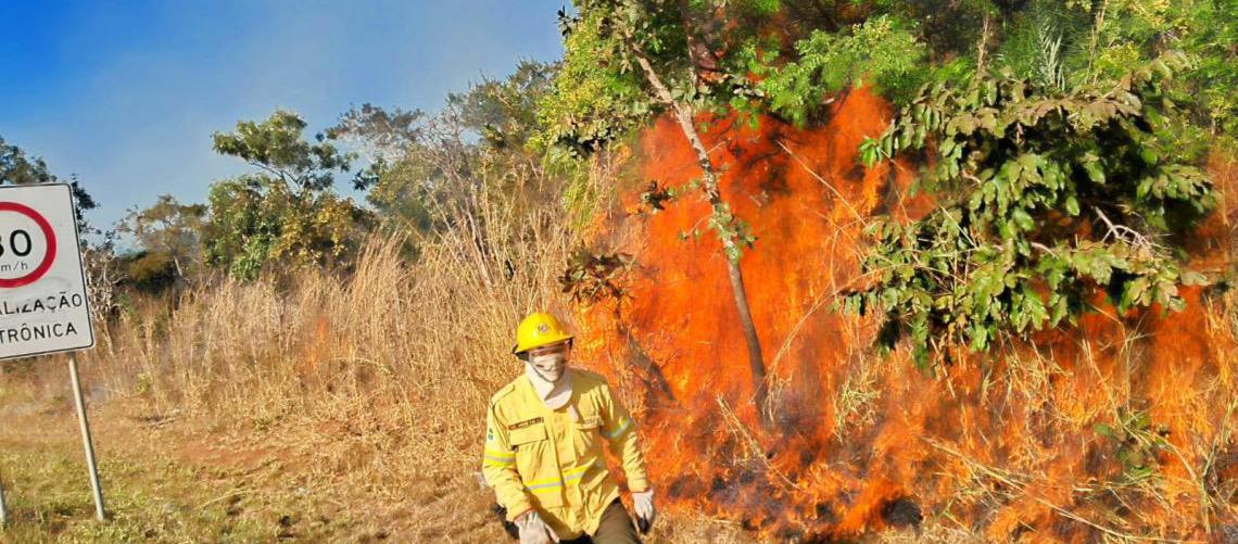 Queima de lixo e vegetação é crime ambiental e eleva risco de incêndio durante o período de seca