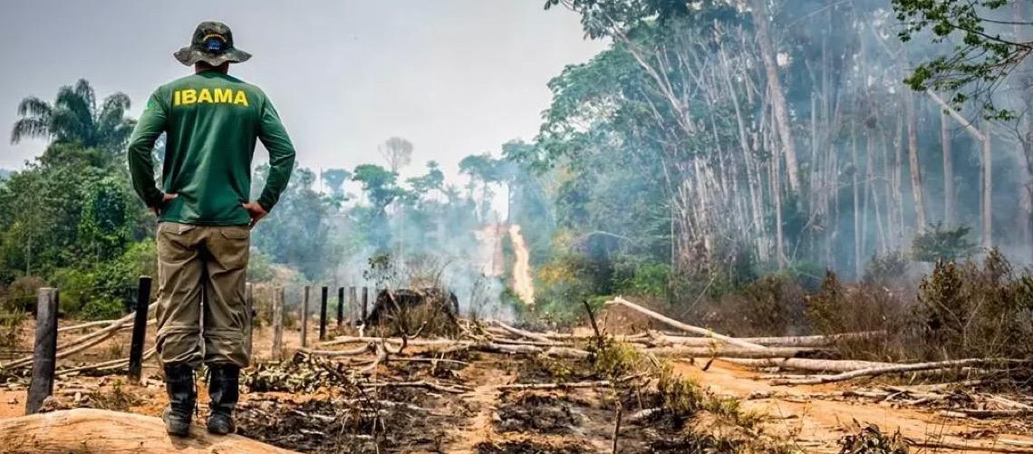 Alertas de desmatamento na amazônia caem ao menor patamar da série histórica