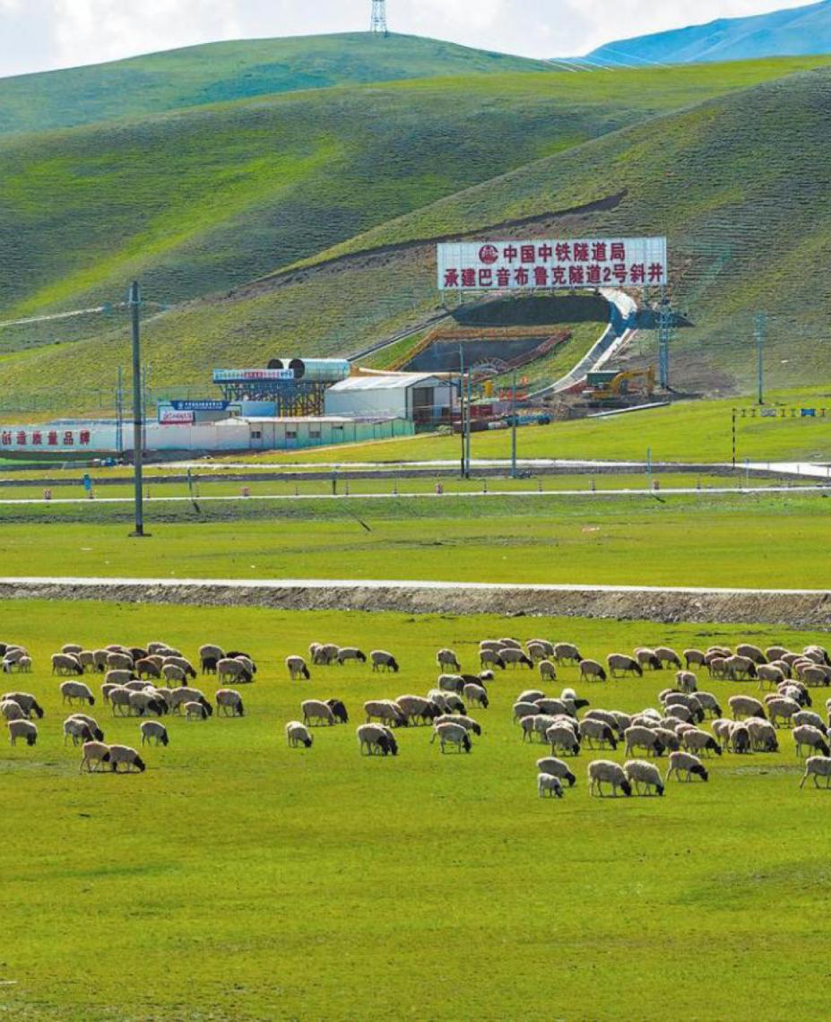 China fortalecerá proteção ecológica de ecossistemas mais resilientes até 2030