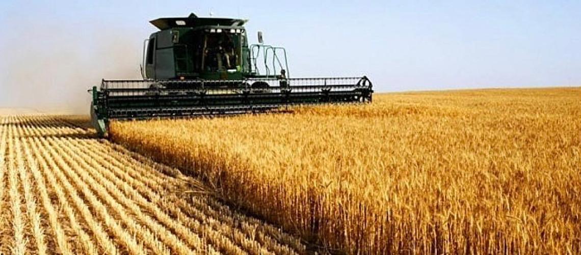 STF extingue todos os processos sobre Moratória da Soja na Justiça e no Cade