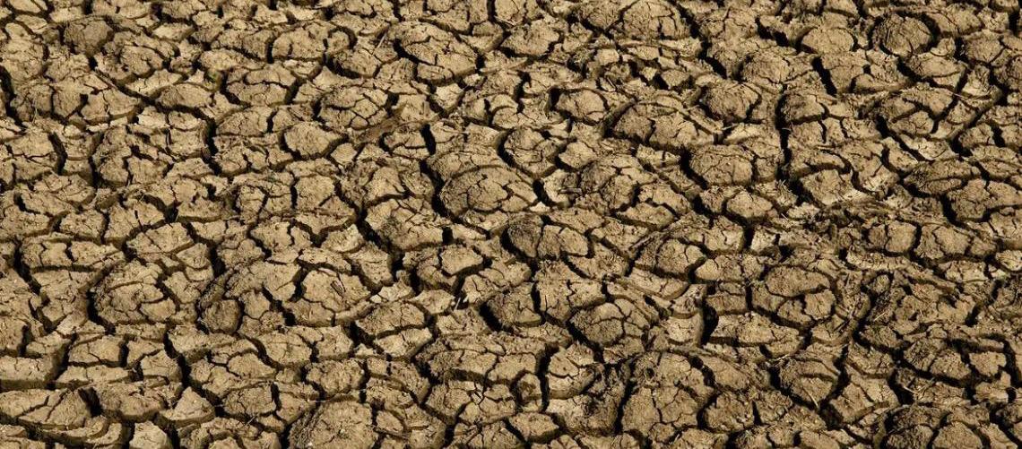 Desertificação no Brasil ameaça segurança hídrica e alimentar