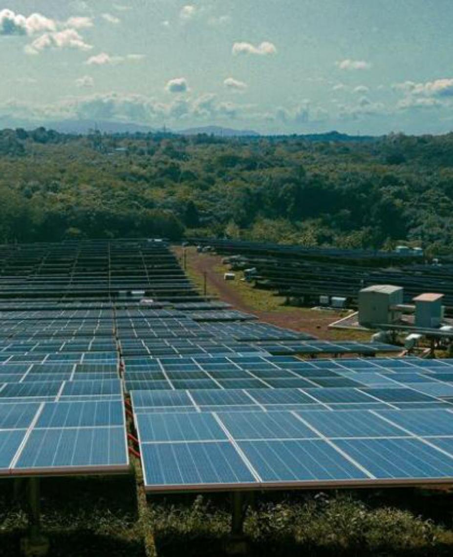 ONU busca convergência entre transição energética e restauração de terras