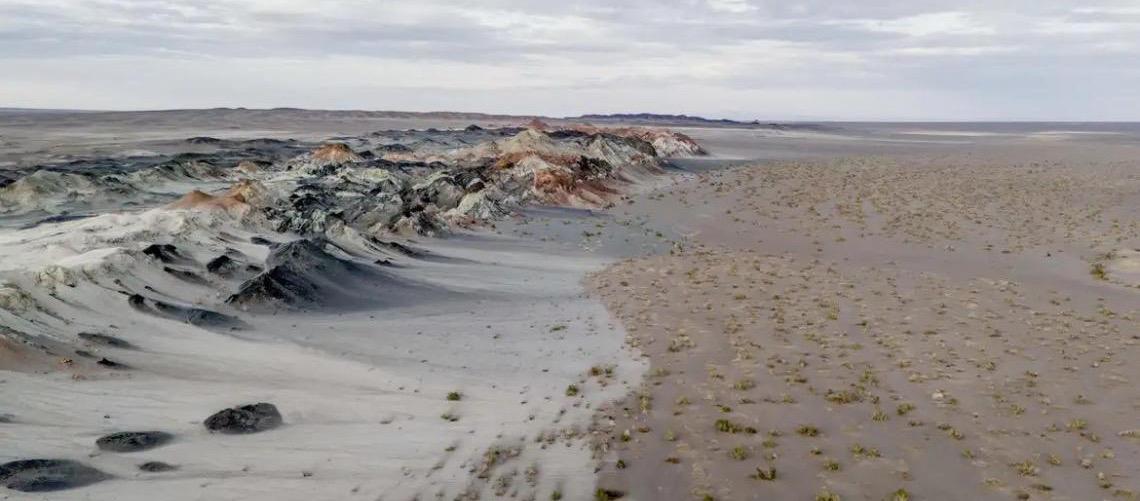 Fungos podem restaurar terras degradadas e combater crise climática