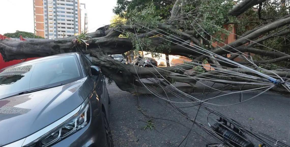Respostas à crise climática exigem inovação, defende setor elétrico brasileiro