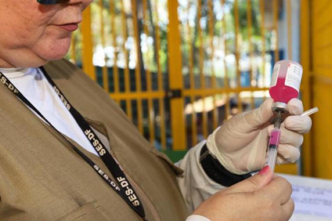 Campanha de vacinação antirrábica movimenta o Distrito Federal 