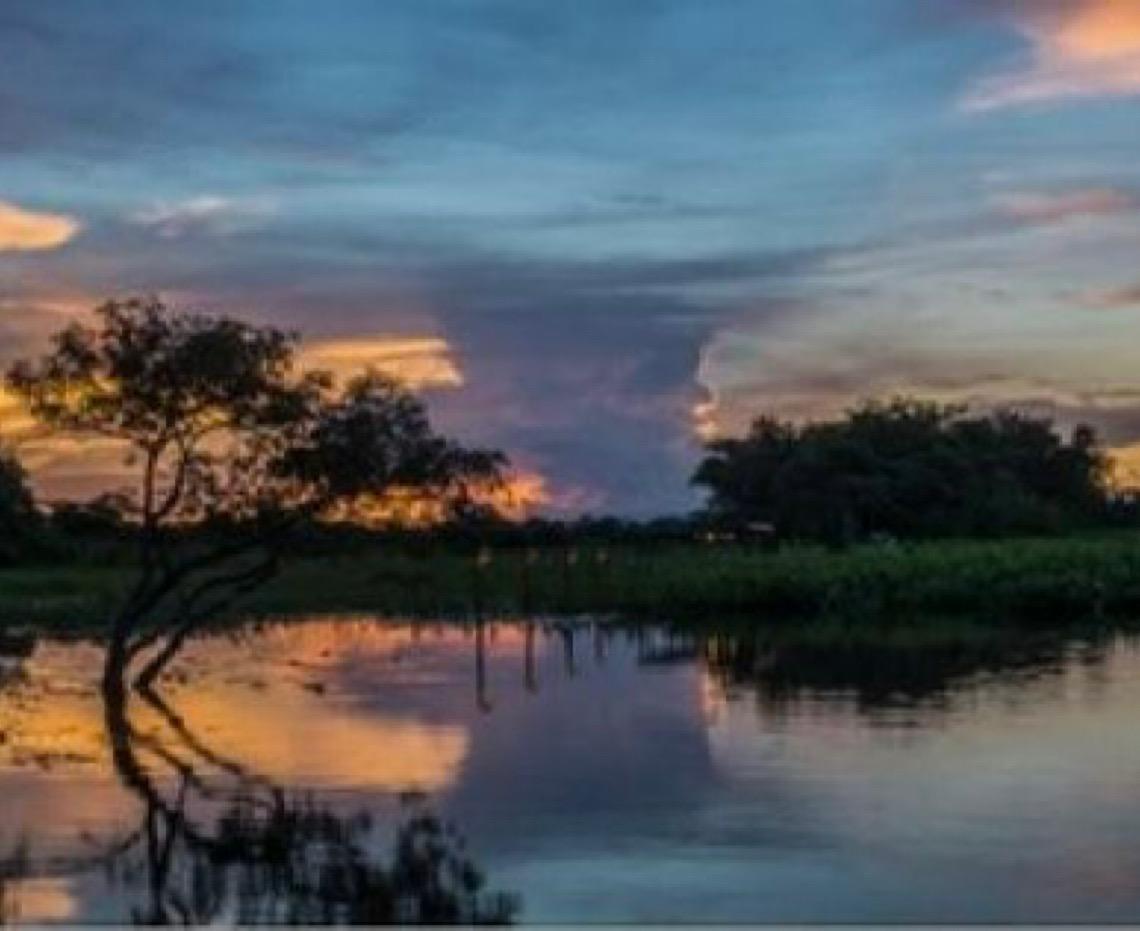 Pantanal combina natureza e cultura no Mato Grosso e no Mato Grosso do Sul