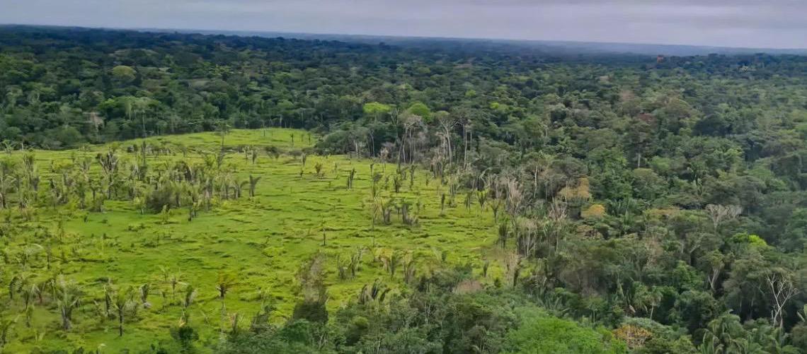 Imazon aponta desmatamento zero em 60% de terras indígenas na Amazônia