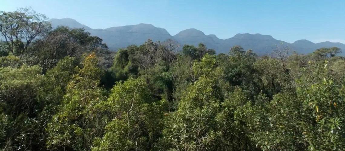 Depois da COP17, Brasil é cobrado a efetivar metas de restauração