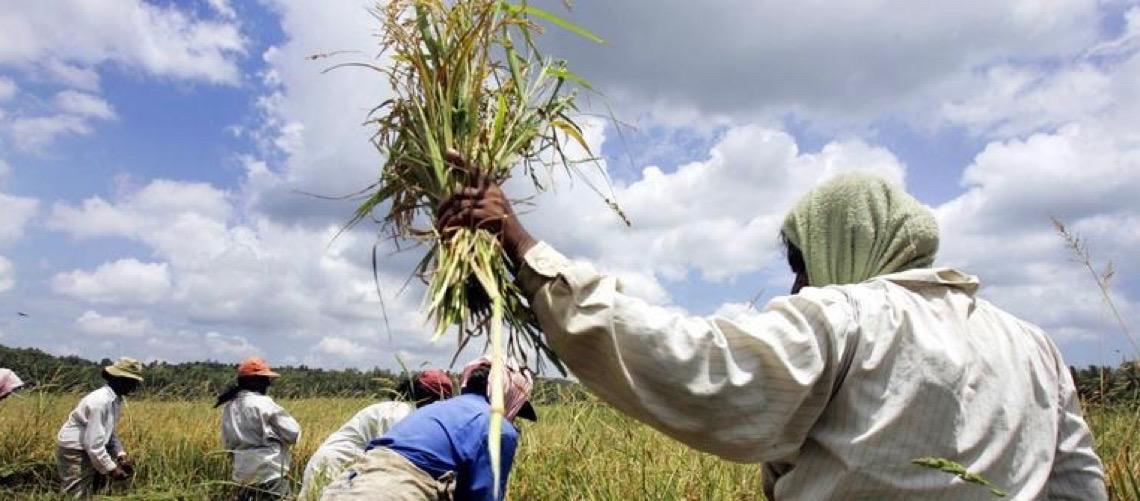 Escassez de fertilizantes pode levar a uma crise alimentar nos EUA, alerta especialista
