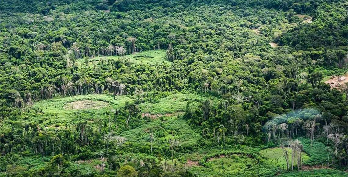 Na Terra Indígena Panará, Amazônia: Indígenas catalogam espécies para proteger biodiversidade