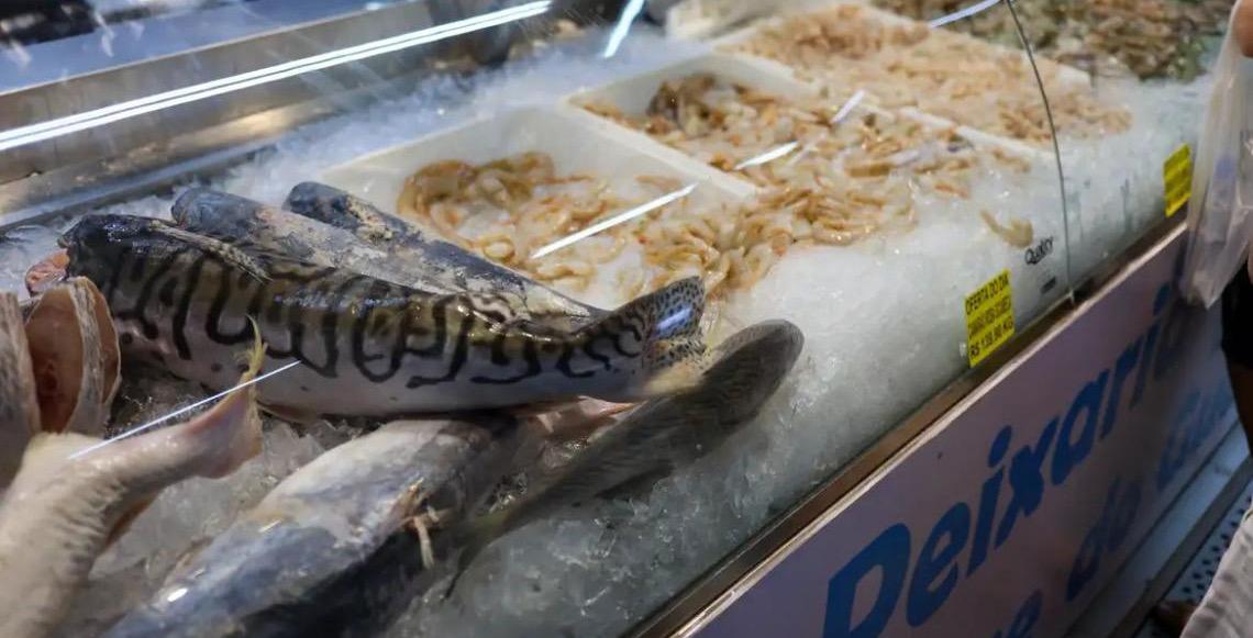 Semana do Pescado 2026 prevê ações para incentivar o consumo de peixe no Brasil
