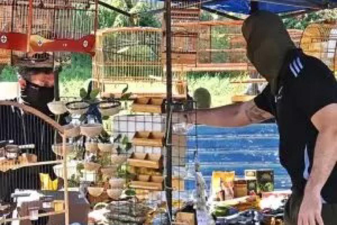 Ibama apreende 510 aves e leva 27 pessoas à polícia por tráfico de fauna silvestre no PE