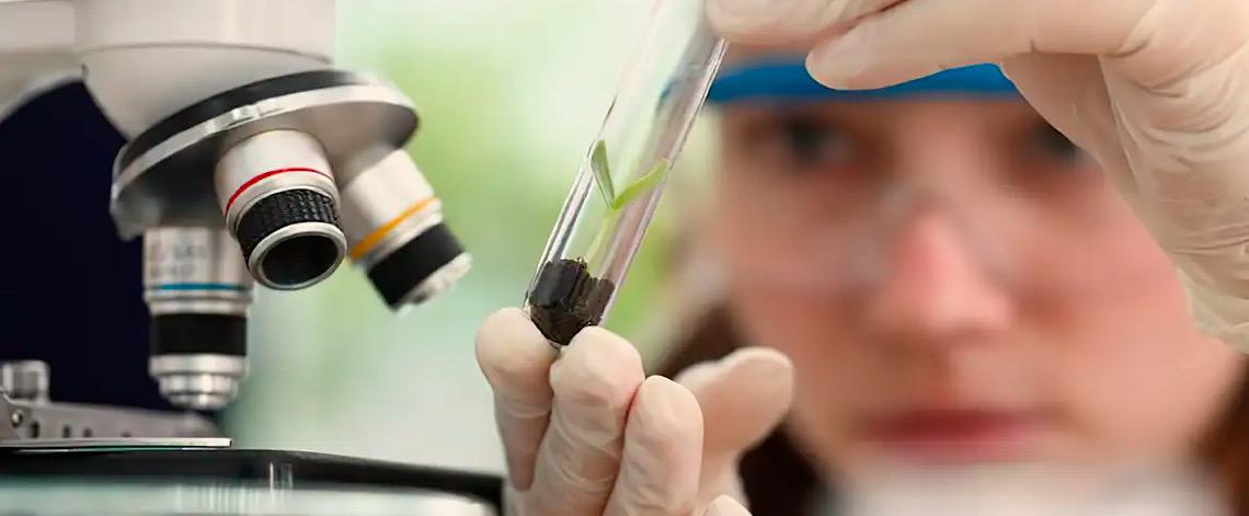 Prêmio para mulheres e meninas cientistas abre inscrições até outubro 