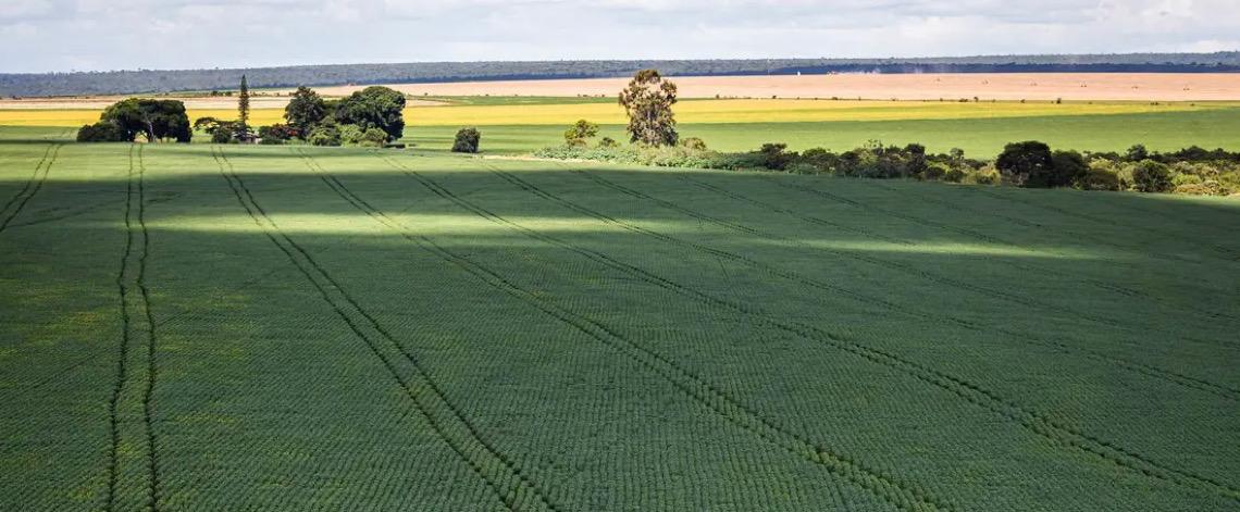 CMN amplia renegociação de dívidas rurais ligadas a eventos climáticos 