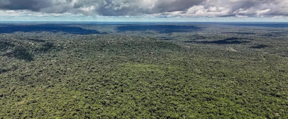 Devastação na Amazônia pode quebrar maior 