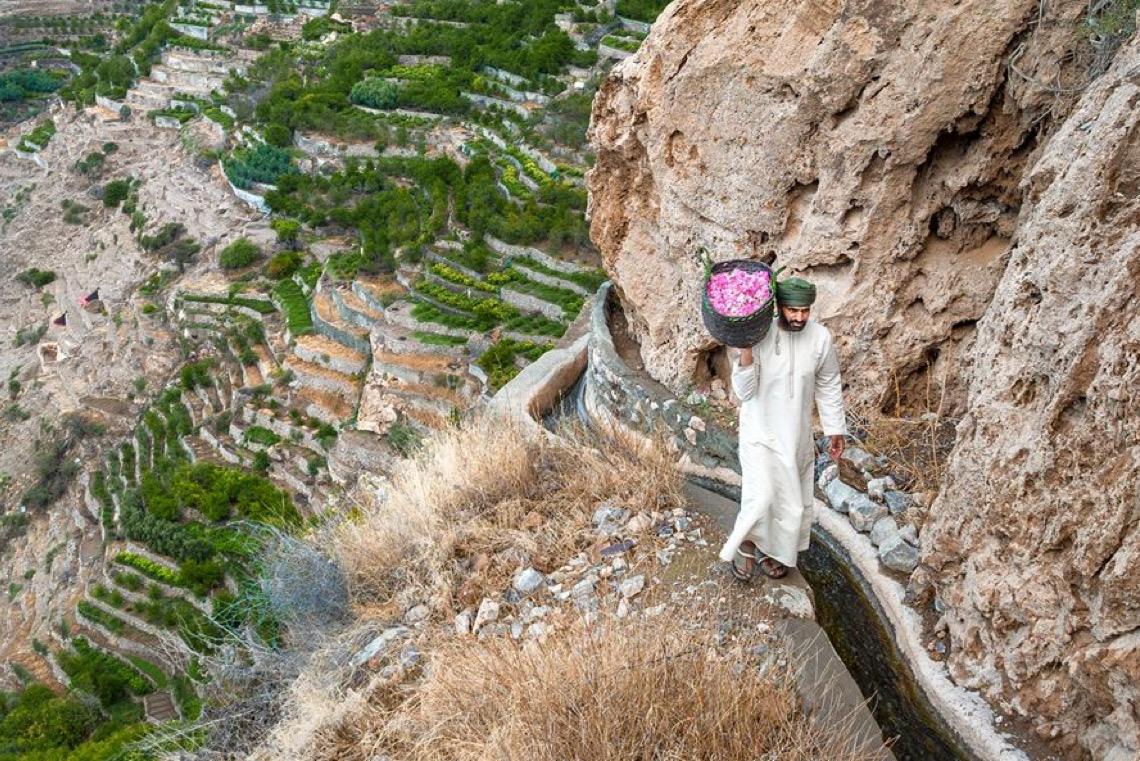 Região de Al Jabal Al Akhdar, na província de A’Dakhiliyah, em Omã será capital turística do GCC