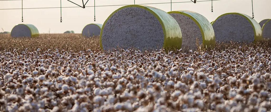Entenda mudança no mapa que tirou Sorriso do topo da produção agrícola 
