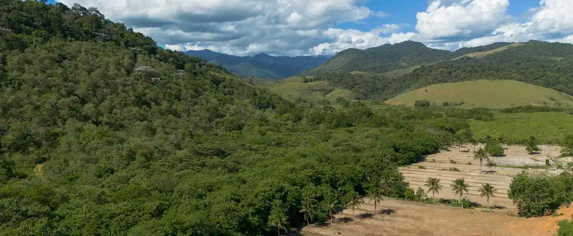 Agricultura ganha 11 milhões de hectares em 41 anos na Mata Atlântica 