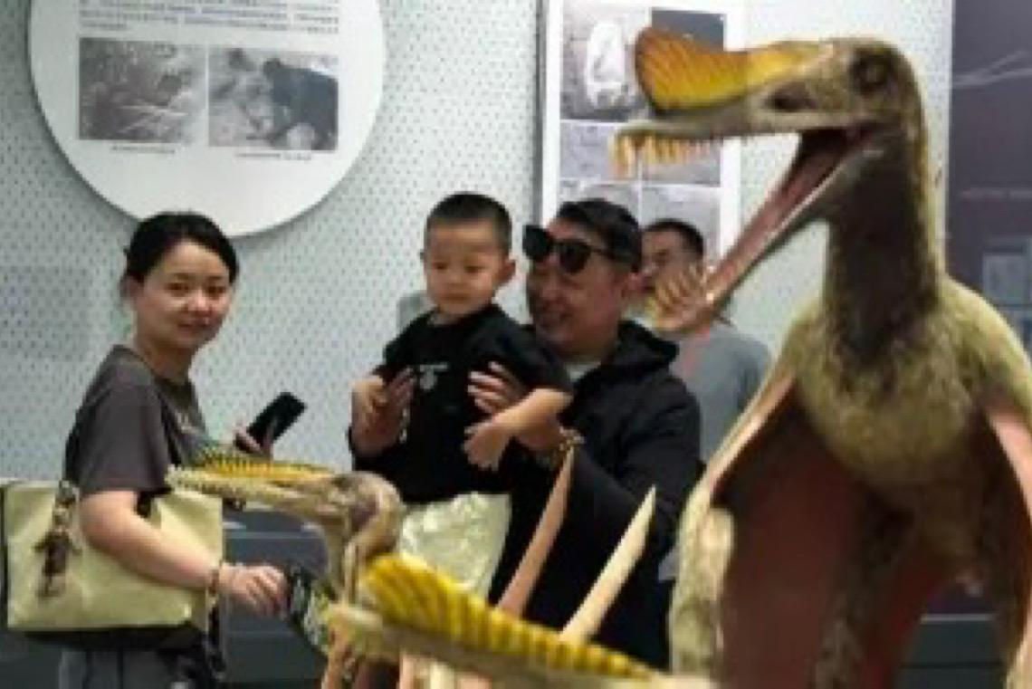 Primeiro museu do mundo dedicado a répteis pré-históricos é inaugurado em Xinjiang