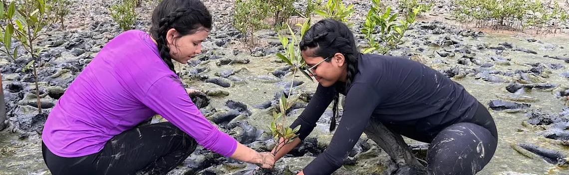 Inscrição de trabalhos no Fórum de Educação Ambiental termina dia 30 de setembro