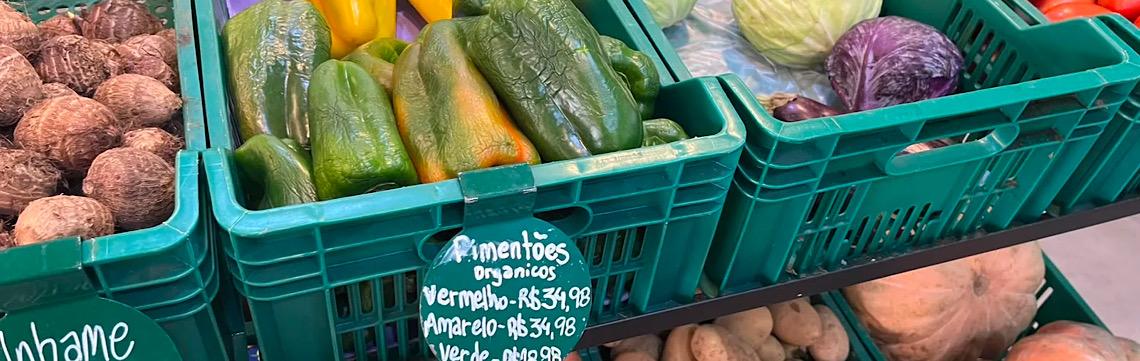 Endividamento e alta taxa de juros fazem conta de consumo de alimentos não fechar, avalia ex-ministro