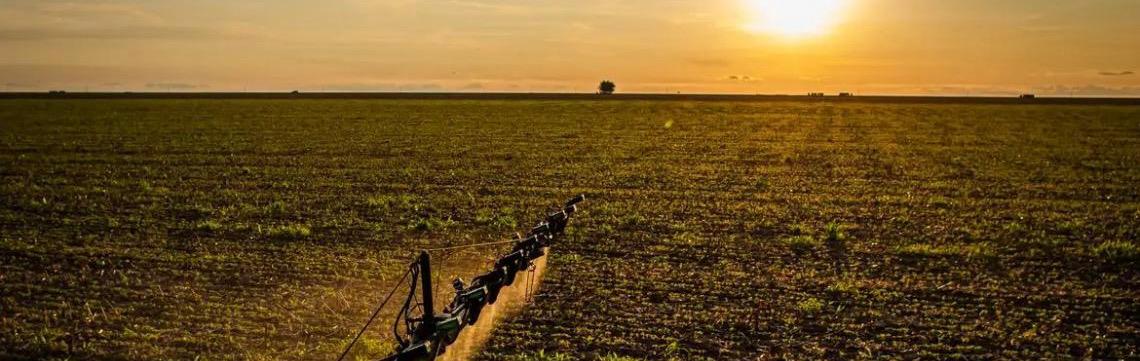 Seguro rural: Novas regras ampliam cobertura e proteção ao produtor