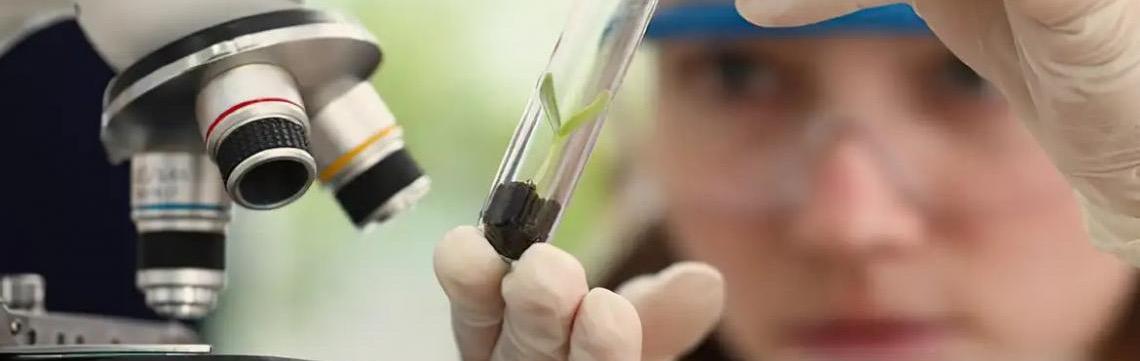 Imersão científica leva alunas e professoras a centros tecnológicos