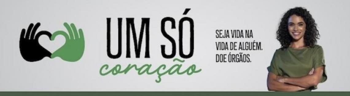Saiba como manifestar intenção de doar órgãos por meio de cartórios 