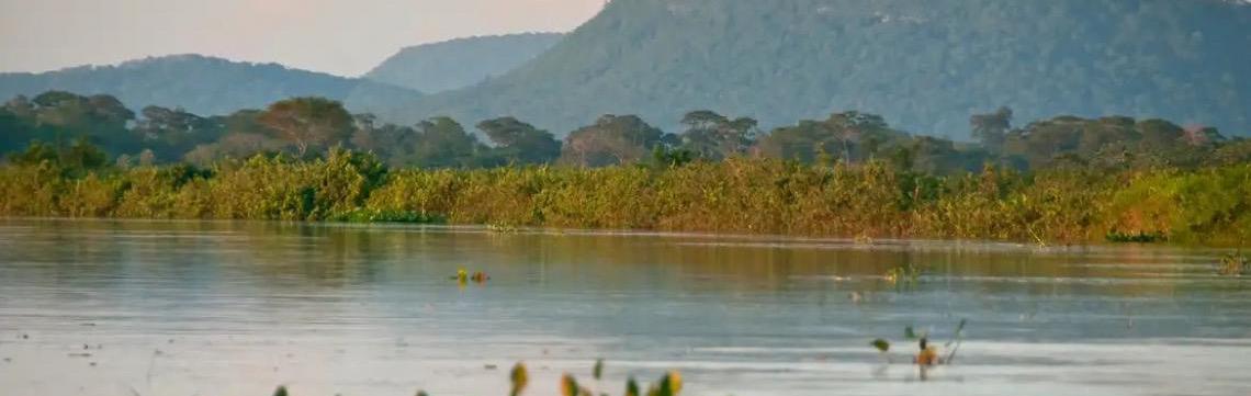 Cerrado brasileiro perdeu 13,9 milhões de hectares de margens de rios