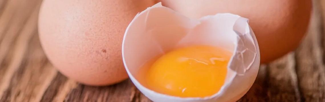 No Dia Mundial do Ovo, entenda se exagerar no alimento para bater meta de proteína pode fazer mal