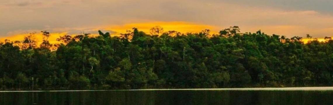 Amazônia Central: Patrimônio Mundial da Unesco protege mais de 6 milhões de hectares de floresta