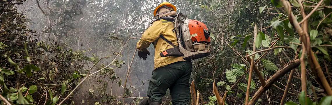Incêndios no Amazonas resultam de ação humana, diz ministro 
