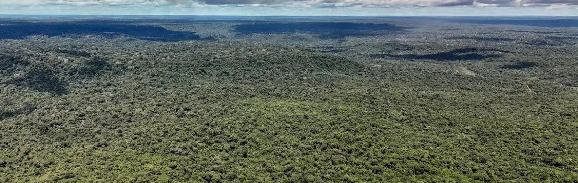 MapBiomas: Amazônia registra menor nível de desmatamento em 41 anos