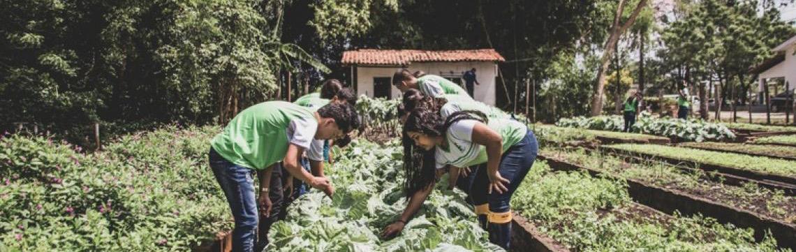Governo Federal aprimora compra de alimentos da agricultura familiar para a merenda escolar